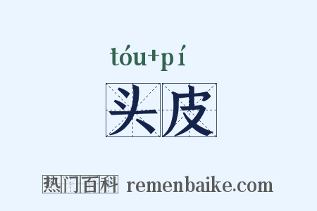 头皮是什么意思的图片